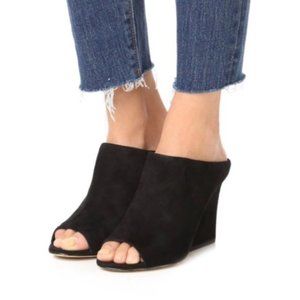Sam Edelman Suede Wedges